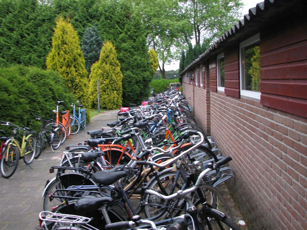 IMG_6198 (Large).jpg